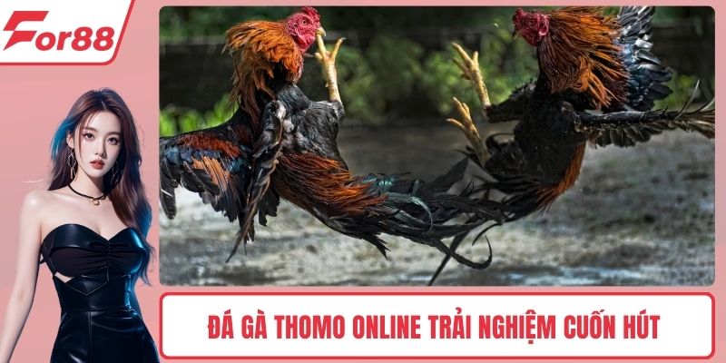 Đá gà thomo online