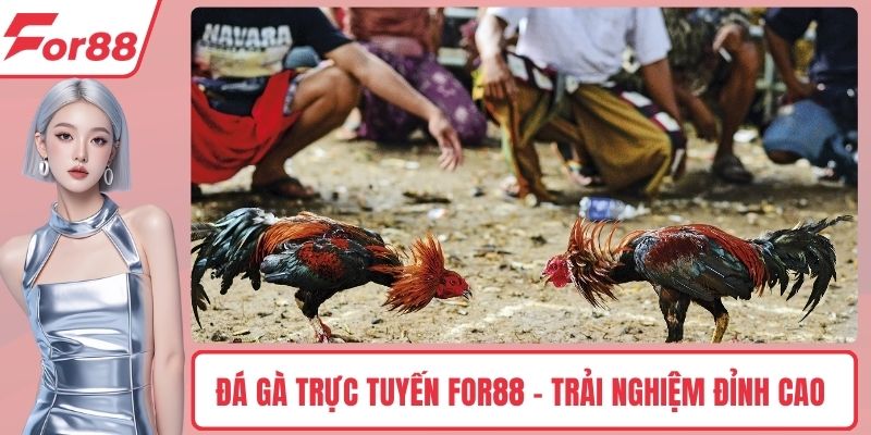 Đá gà trực tuyến FOR88