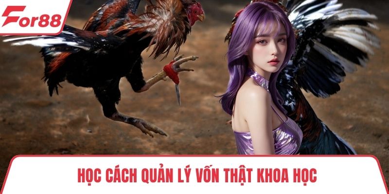 Đá gà trực tuyến FOR88 Học cách quản lý vốn thật khoa học