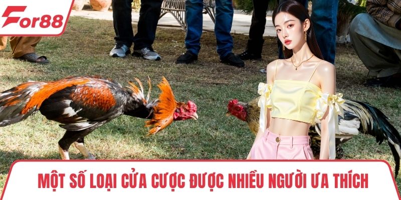 Đá gà trực tuyến FOR88 Một số loại cửa cược được nhiều người ưa thích