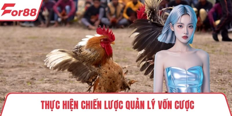 Đá gà FOR88 Thực hiện chiến lược quản lý vốn cược